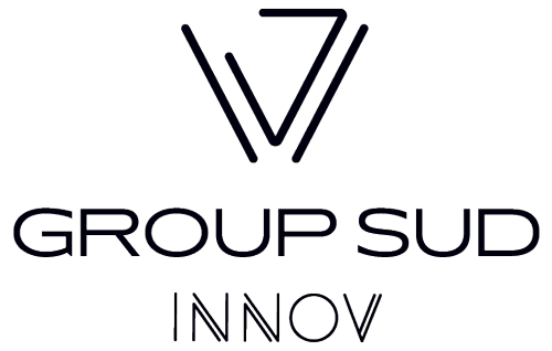 Logo Group Sud Innov